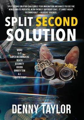 Book cover for Split Second Solution