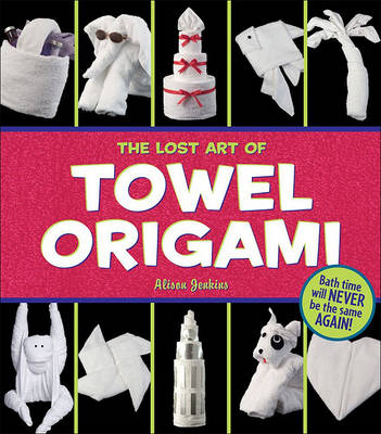 Book cover for The Lost Art of Towel Origami