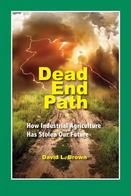 Book cover for Dead End Path