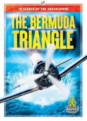 Cover of The Bermuda Triangle