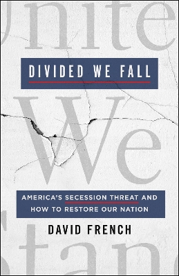 Book cover for Divided We Fall