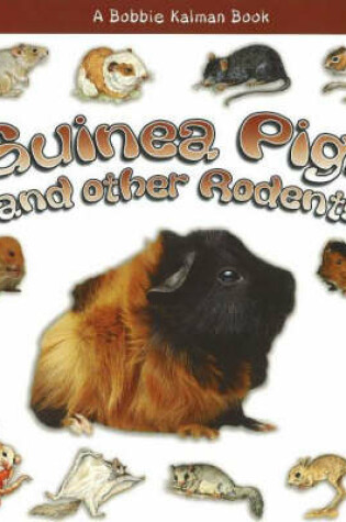 Cover of Guinea Pigs and other Rodents