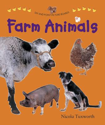 Book cover for Say and Point Picture Boards: Farm Animals