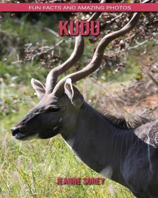 Book cover for kudu