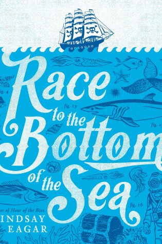 Cover of Race to the Bottom of the Sea