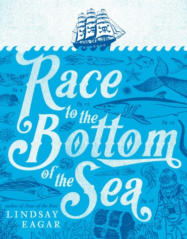 Book cover for Race to the Bottom of the Sea