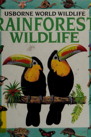 Cover of Rainforest Wildlife