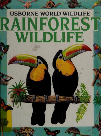Book cover for Rainforest Wildlife