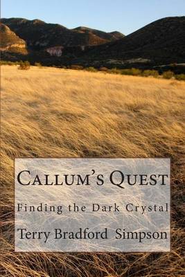 Book cover for Callum's Quest