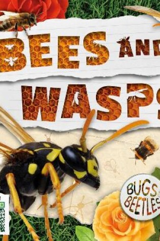 Cover of Bees and Wasps