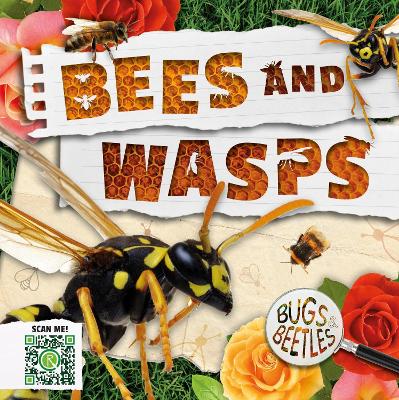 Cover of Bees and Wasps