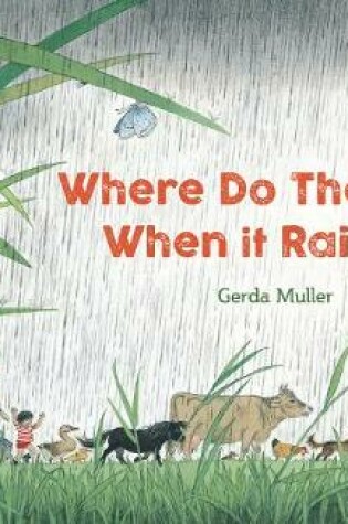 Cover of Where Do They Go When It Rains?