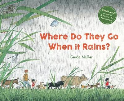 Book cover for Where Do They Go When It Rains?