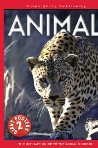 Cover of Animal Poster Book