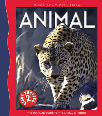 Book cover for Animal Poster Book