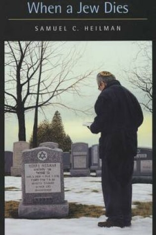 Cover of When a Jew Dies