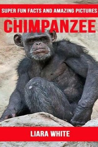 Cover of Chimpanzee