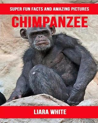 Book cover for Chimpanzee