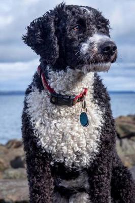 Book cover for The Spanish Water Dog Journal