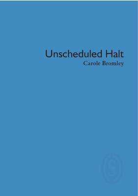 Book cover for Unscheduled Halt