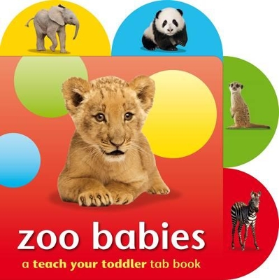 Book cover for Teach Your Toddler Tab Books: Zoo Babies