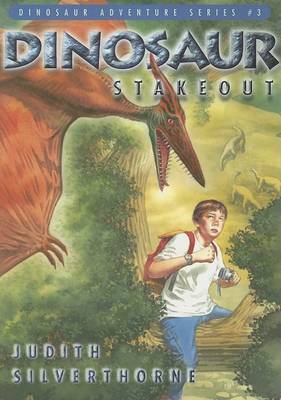 Book cover for Dinosaur Stakeout