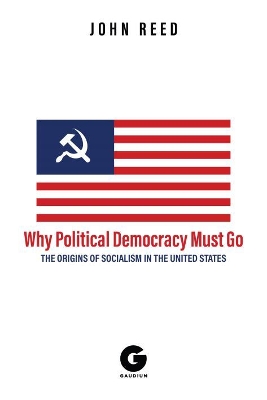 Book cover for Why Political Democracy Must Go