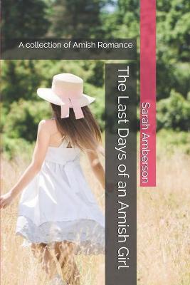 Book cover for The Last Days of an Amish Girl