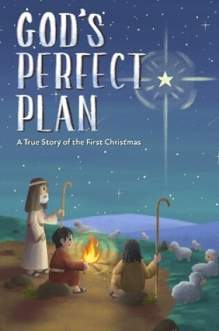 Cover of God's Perfect Plan