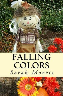 Book cover for Falling Colors