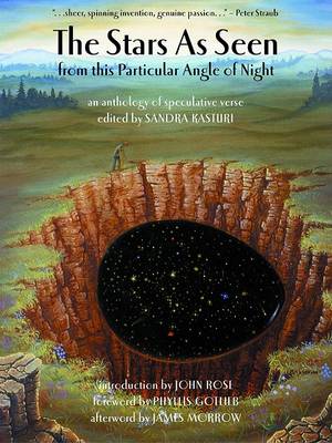 Book cover for The Stars as Seen from This Particular Angle of Night