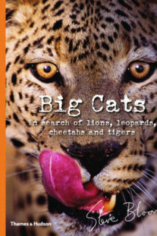 Cover of Big Cats