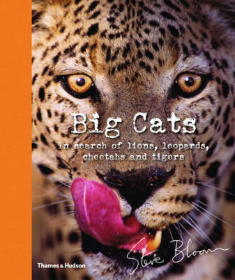 Book cover for Big Cats