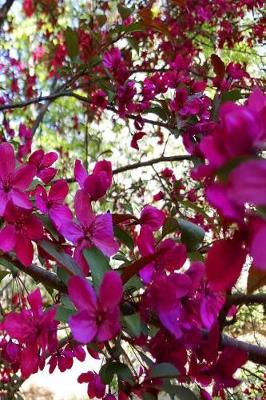 Cover of Springtime Journal Flowering Tree Branches Full Bloom