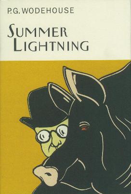 Book cover for Summer Lightning