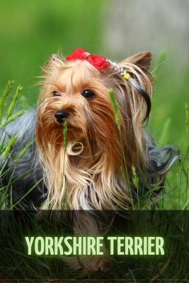 Book cover for Yorkshire Terrier