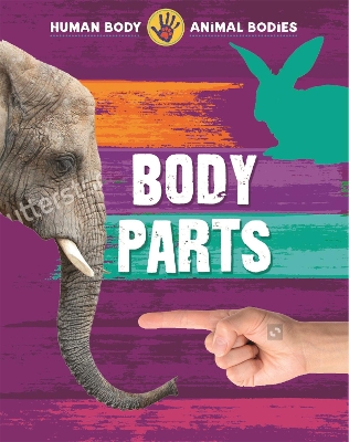 Book cover for Human Body, Animal Bodies: Body Parts