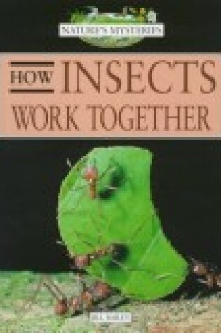 Cover of How Insects Work Together