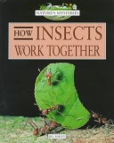 Book cover for How Insects Work Together