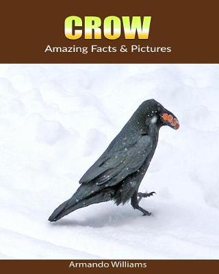 Book cover for Crow