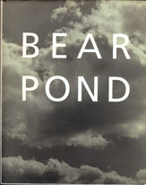 Book cover for Bear Pond