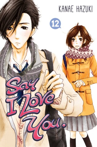 Cover of Say I Love You Vol. 12