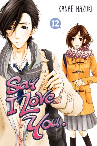 Book cover for Say I Love You Vol. 12