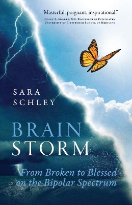 Book cover for BrainStorm