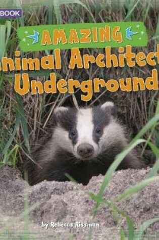 Cover of Amazing Animal Architects Underground