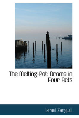 Book cover for The Melting-Pot