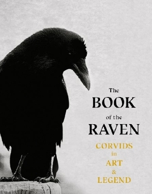 Book cover for The Book of the Raven