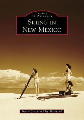 Book cover for Skiing in New Mexico