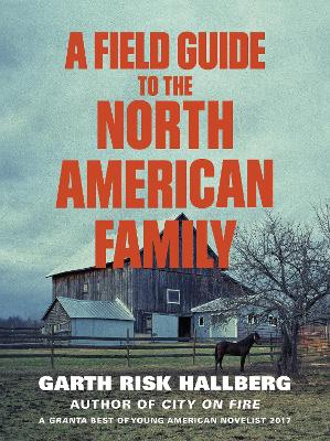 Book cover for A Field Guide to the North American Family