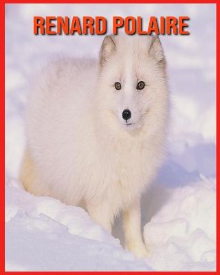 Book cover for Renard Polaire